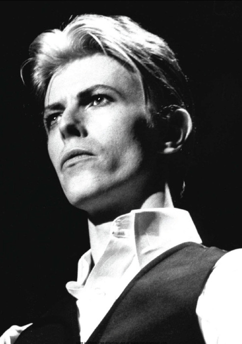 Bowie3