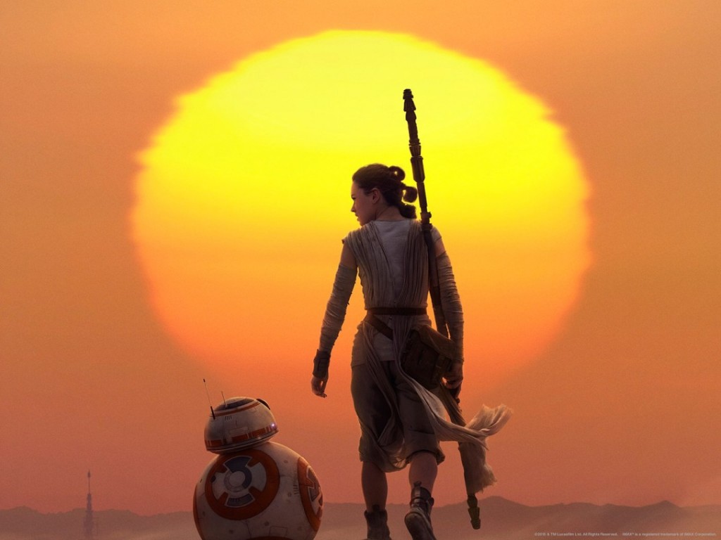 Rey against sunset